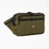 Ashville Belt Bag