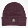 Dickies Skateboarding Cuffed Beanie