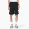 Dickies Skateboarding Grants Pass Relaxed Fit Shorts, 9″