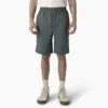 Dickies Skateboarding Grants Pass Relaxed Fit Shorts, 9″