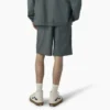 Dickies Skateboarding Grants Pass Relaxed Fit Shorts, 9″