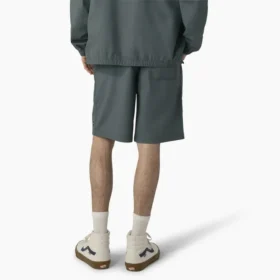Dickies Skateboarding Grants Pass Relaxed Fit Shorts, 9″