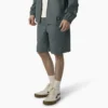 Dickies Skateboarding Grants Pass Relaxed Fit Shorts, 9″