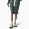 Dickies Skateboarding Grants Pass Relaxed Fit Shorts, 9″