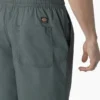 Dickies Skateboarding Grants Pass Relaxed Fit Shorts, 9″