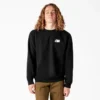 Dickies Skateboarding Pool Drainage Graphic Sweatshirt