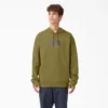 Dickies Skateboarding Relief Fleece Hoodie