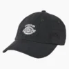 Dickies X Jameson Embroidered Cap
