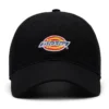 Low Profile Dad Hat