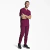 Men’s Eds Essentials V-Neck Scrub Top