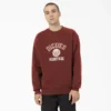 Oxford Graphic Sweatshirt