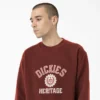 Oxford Graphic Sweatshirt