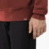 Oxford Graphic Sweatshirt