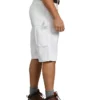 Premium Painter’s Shorts