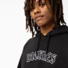 Union Springs Logo Hoodie