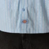 Venedocia Striped Shirt