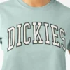 Women’s Aitkin Boxy Fit T-Shirt